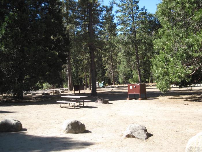 Food locker, picnic table, and fire ringSite 59