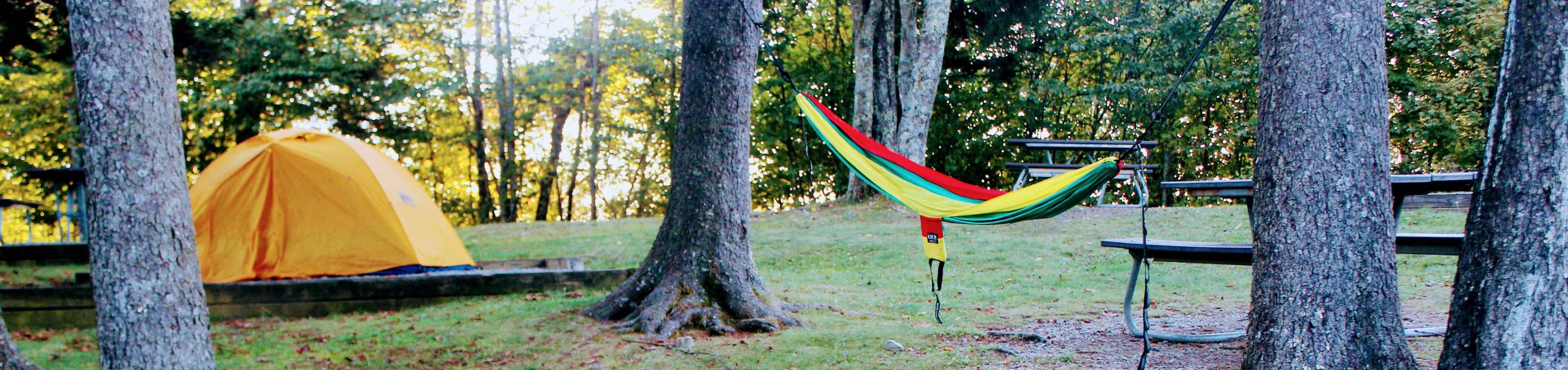 Balsam Mountain Campground, Great Smoky Mountains National Park ...