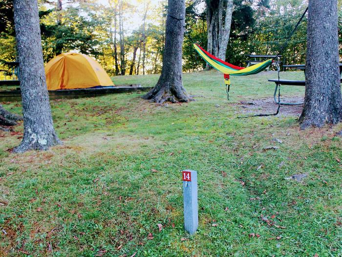 Preview photo of Balsam Mountain Campground