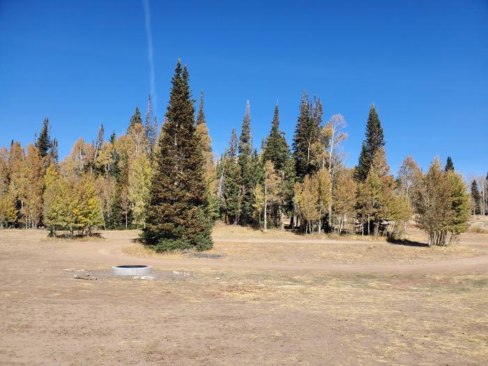 Lake Canyon Campground  -  Millers Flat Group Site ALake Canyon Campground - Millers Flat Group Site A