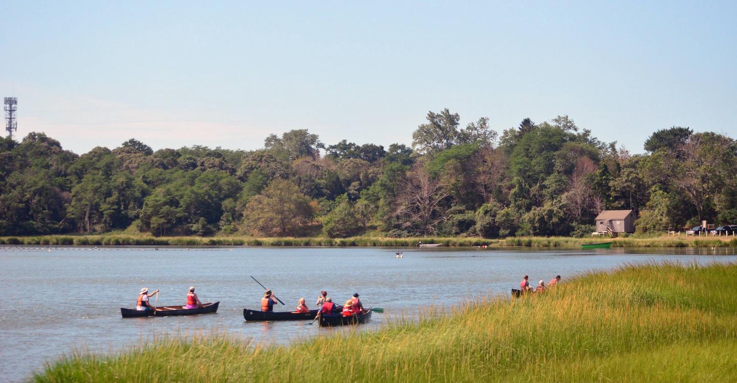 Make sure to participate in one of the many programs that are offered by the Cape Cod National Seashore during your stay!