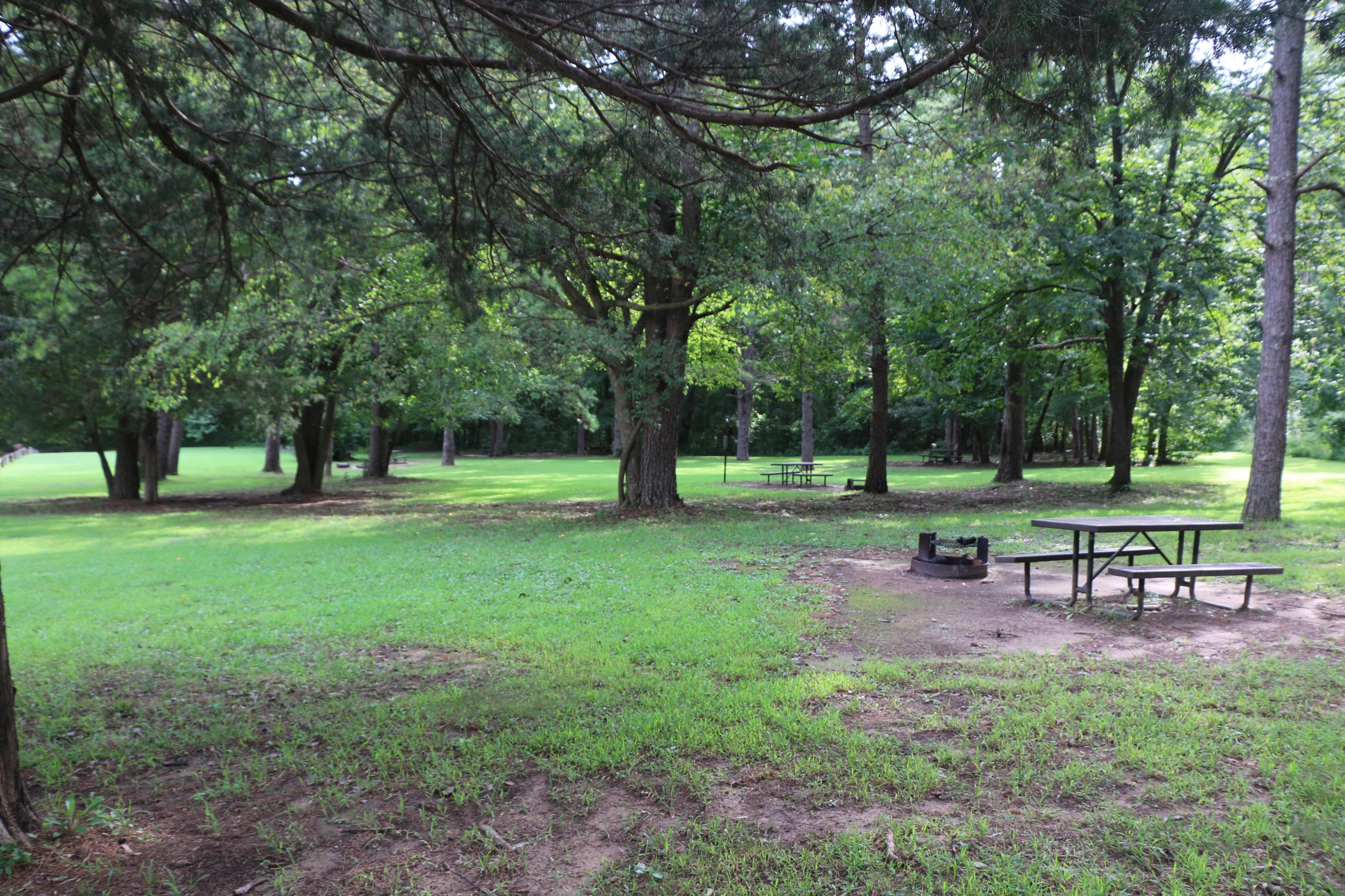 Shady tent camp sites at Kyle's Landing