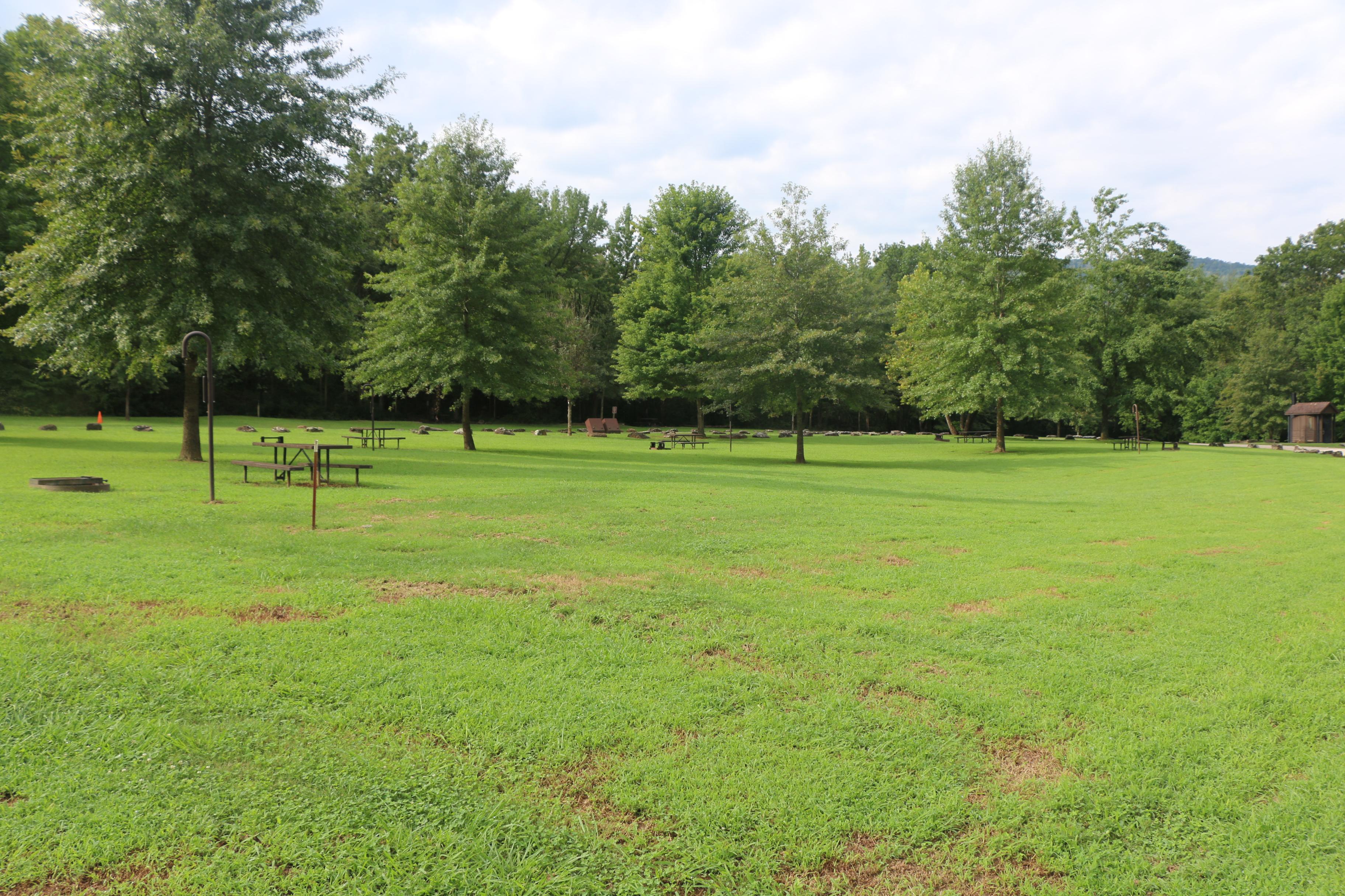 Non-shady Tent Sites at Kyle's Landing