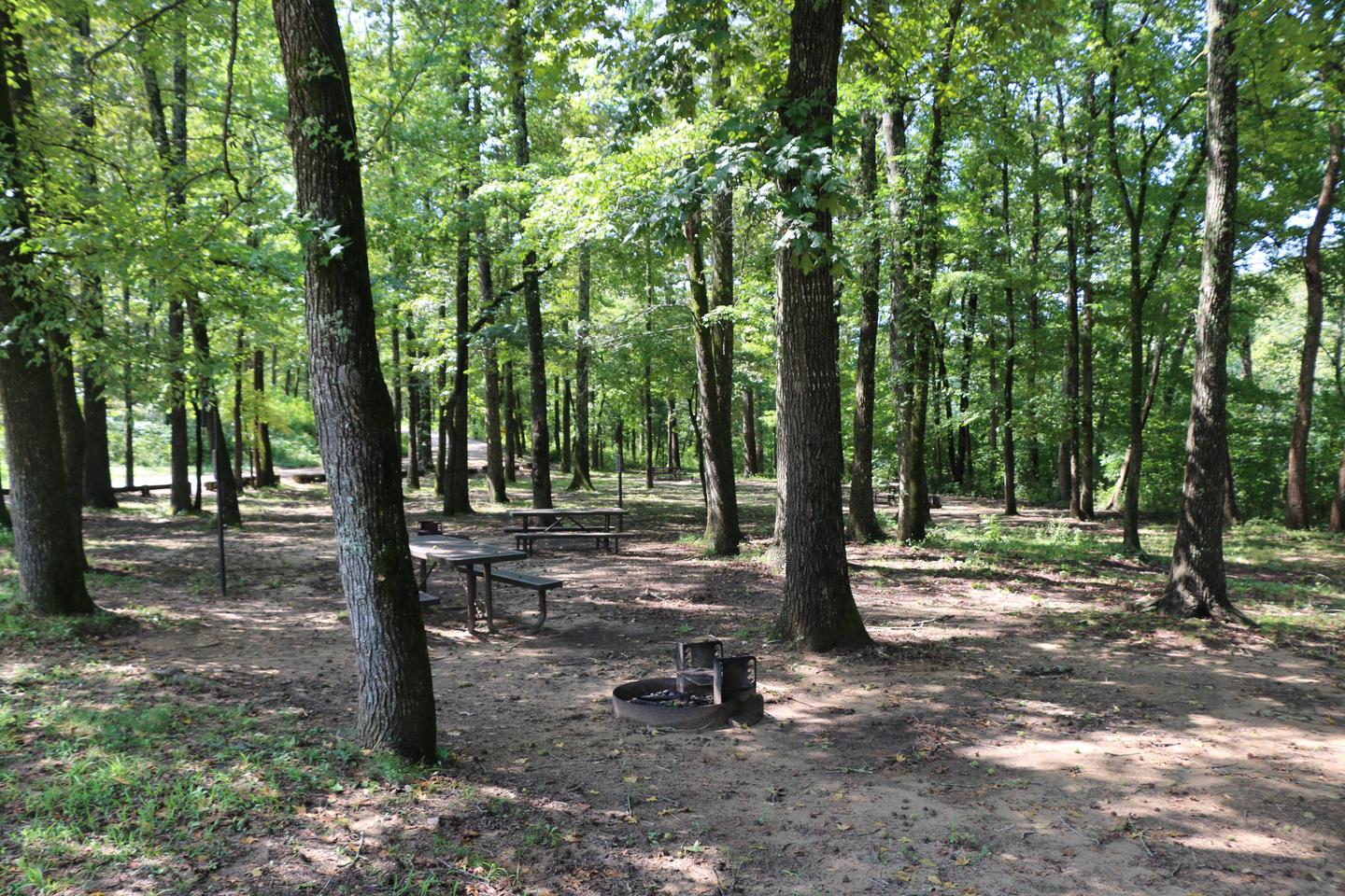 Ozark CampgroundShaded sites are available for tent camping at Ozark Campground.