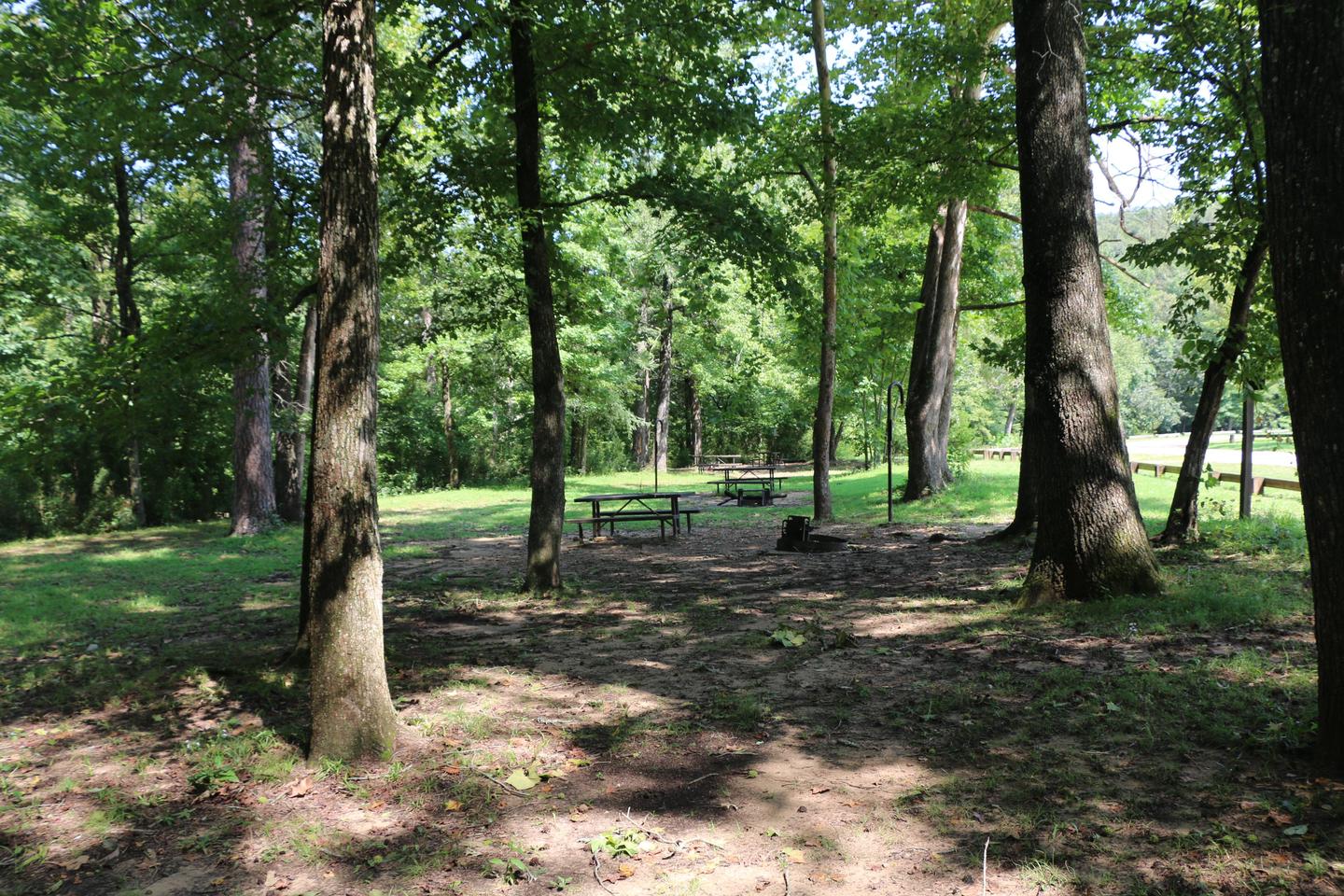 Ozark Campground Tent SitesA mix of sunny and shady sites are available for campers at Ozark Campground.