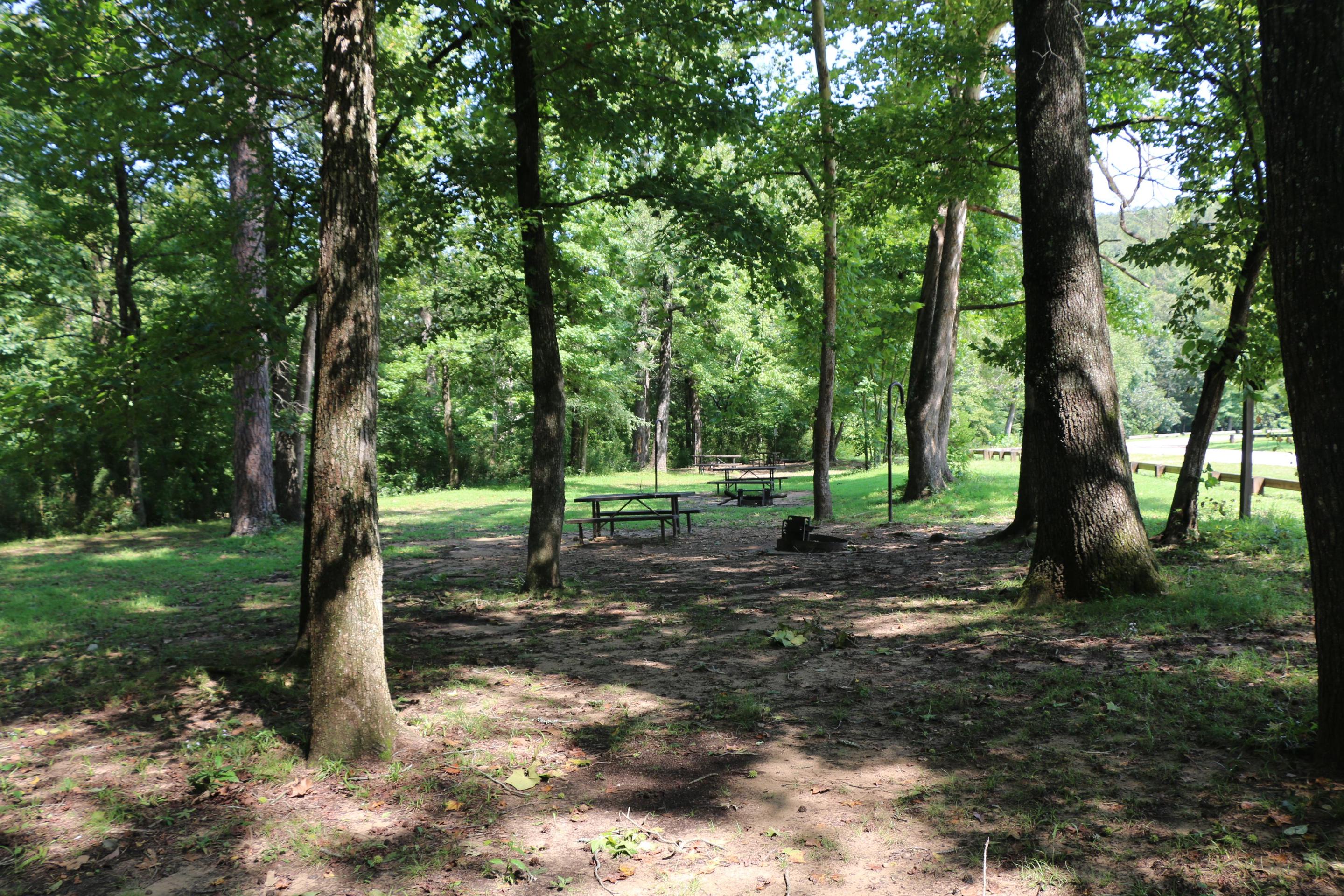 Ozark Campground, Buffalo National River Recreation.gov