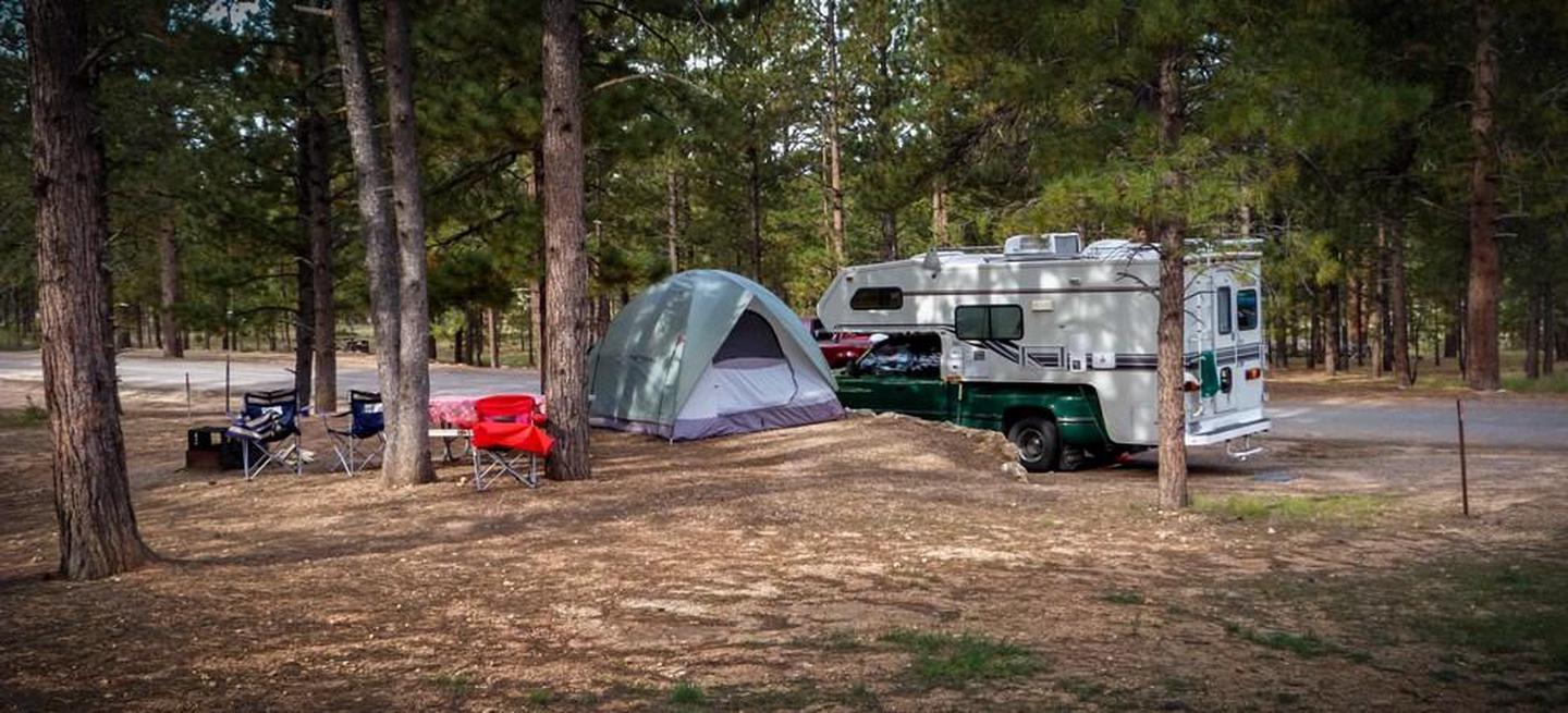 North Campground CampsiteBoth tents and RVs are welcome in North Campground