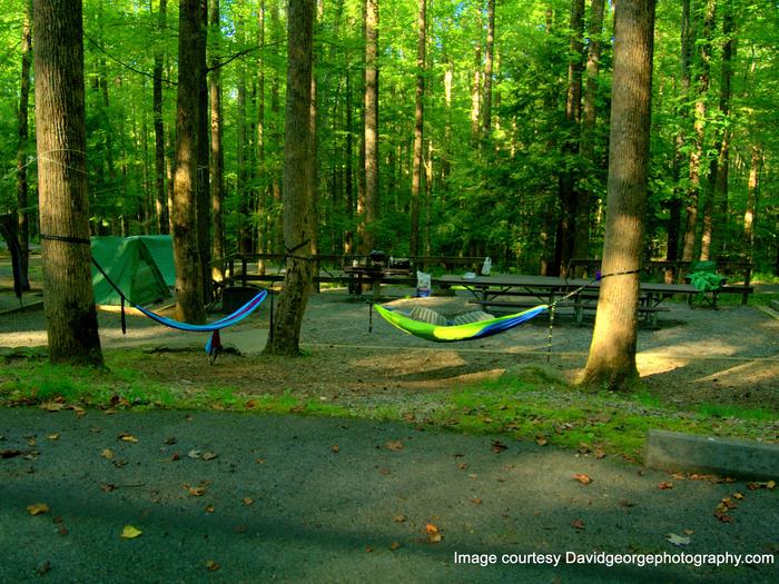 Group siteHammocks and Tent camping