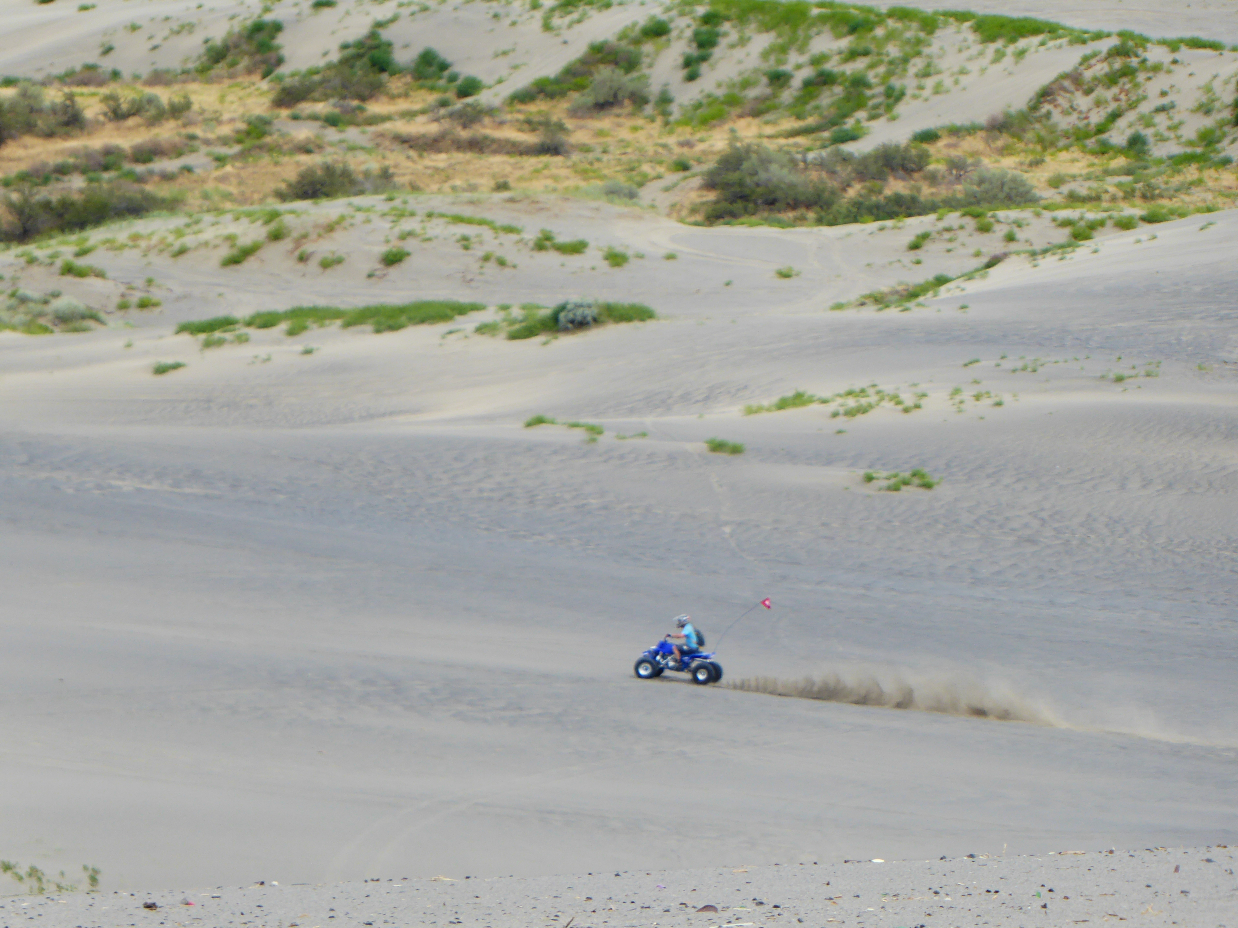 Four-wheeler accelerating across dune at Juniper Dunes OHV Area