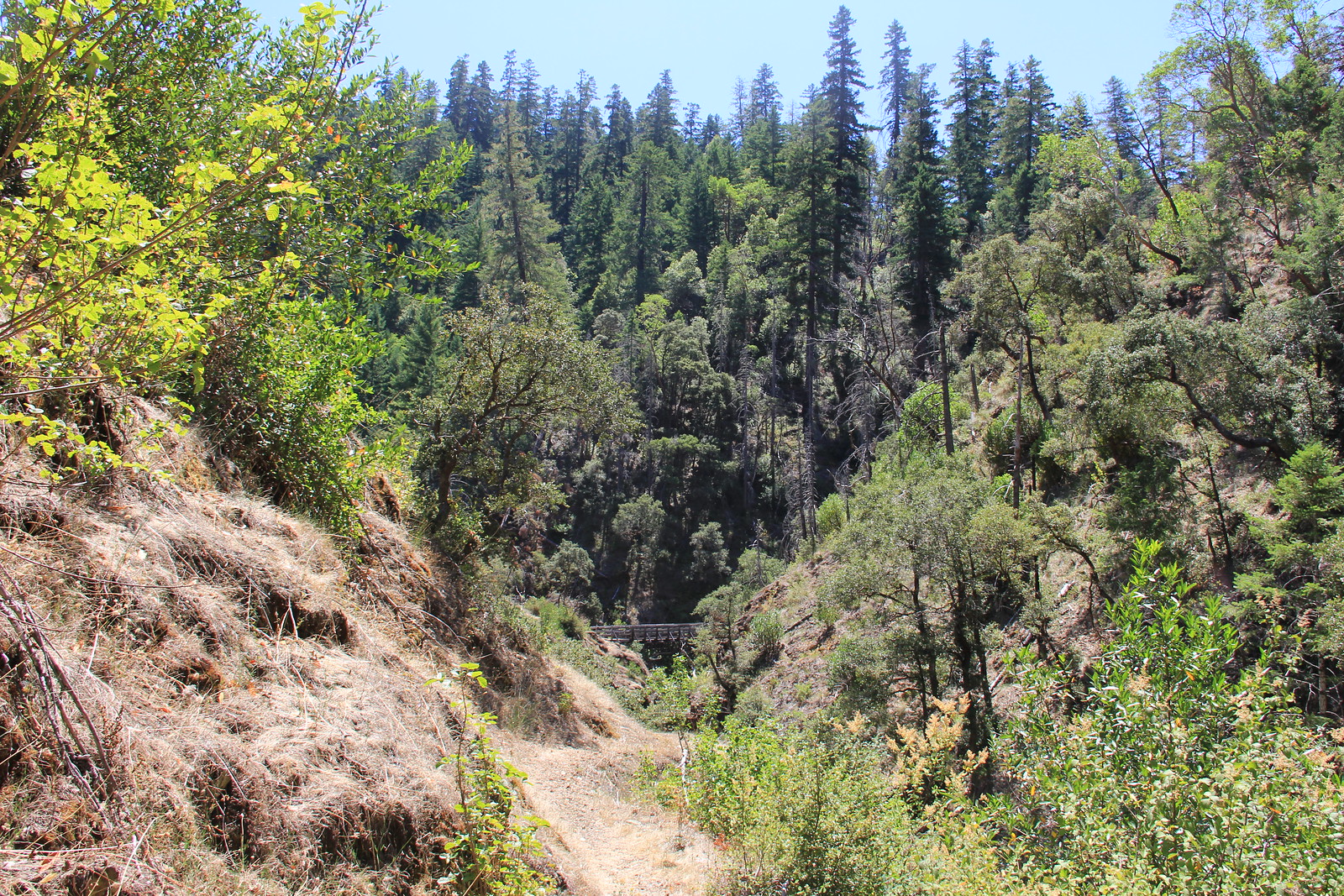 Mule Creek Trail