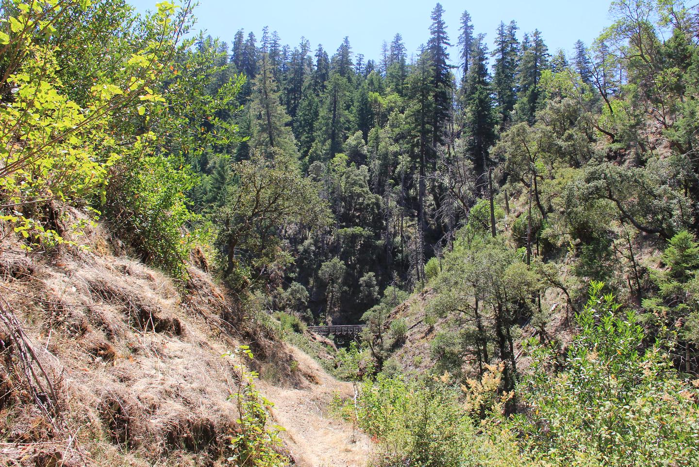 Mule Creek TrailMule Creek Trail
