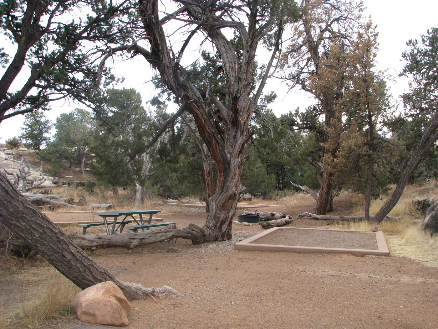 Site 020 Canyonlands National Park Needles District Campground   999990038 4e8c4c9c Bed2 4715 A47c Cd6da3221b9c 1400 