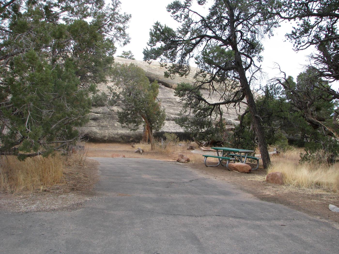 Site 021 Canyonlands National Park Needles District Campground   999990042 070cea0c 7135 43aa 9622 2f7554324d8e 1400 