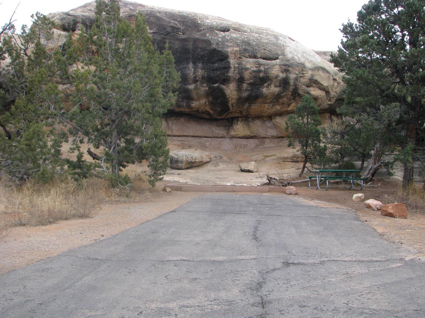 Site 024 Canyonlands National Park Needles District Campground   999990040 9dfdc74d 9102 4775 B82e 408650fee47f 1400 