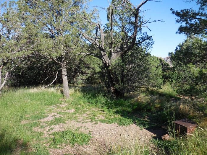 Wooded area with bear boxWooded, flat area. Natural shade