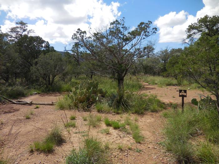 Flat site, largeFlat, large tent area