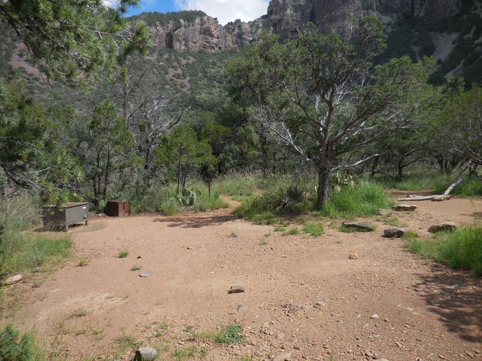 Flat area with Juniper trees with a view of mountainLarge, flat area with Junipers and great views