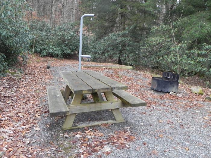View of the lantern post, picnic table, fire pit, and tent pad60 ft. long from the site entrance and 10 ft. wide 