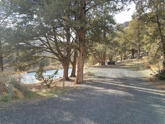 View of road at Palisades Campground