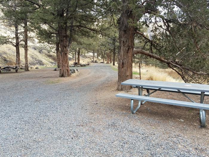 Campsites at Poison Butte Campground