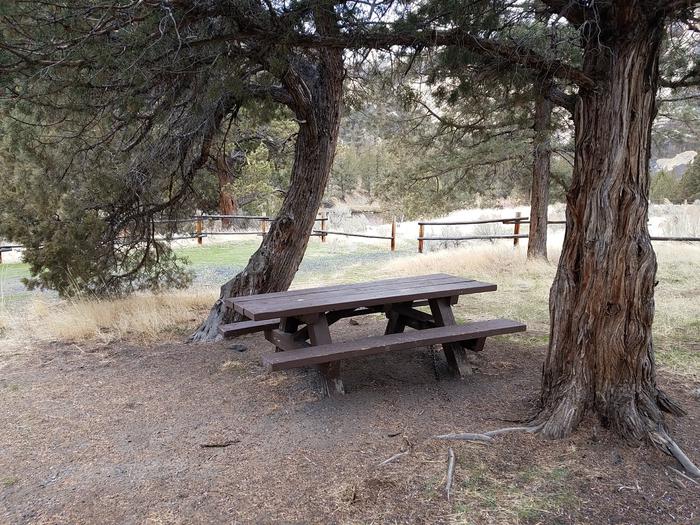 Picnic table at Upper Lone Pine Day-Use Area