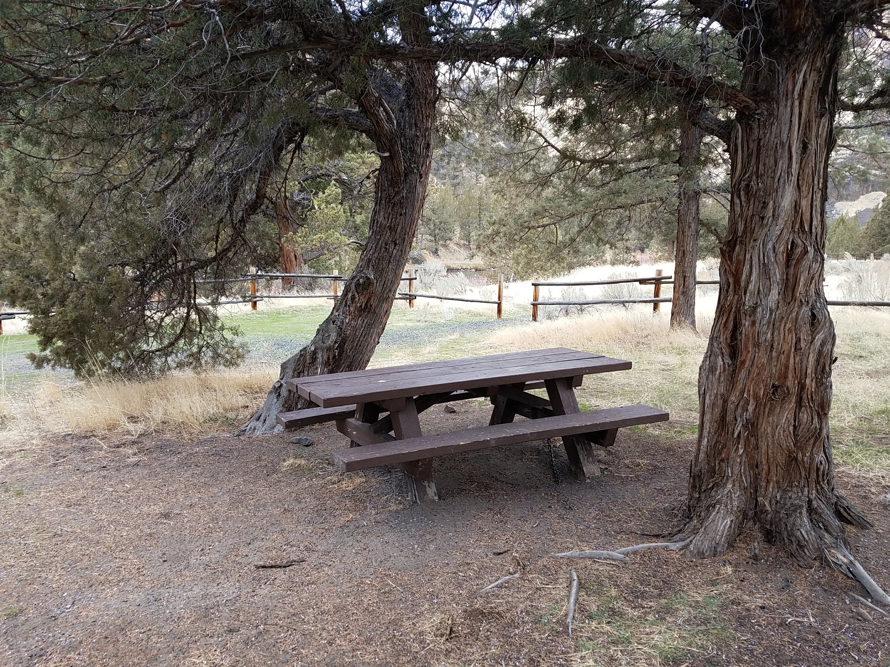 Upper Lone Pine Day-Use Area | Bureau of Land Management