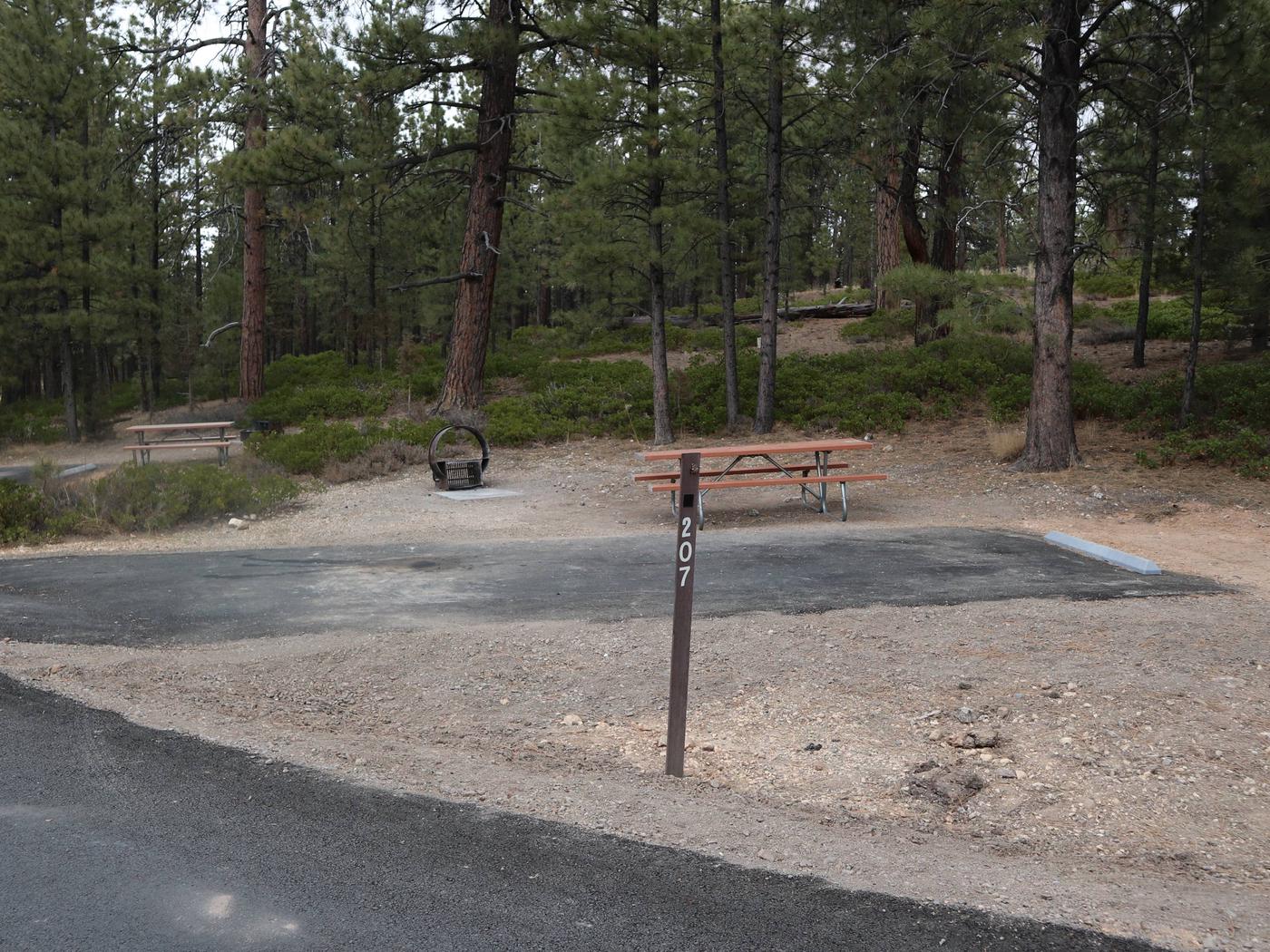 Site A207, Sunset Campground - Recreation.gov