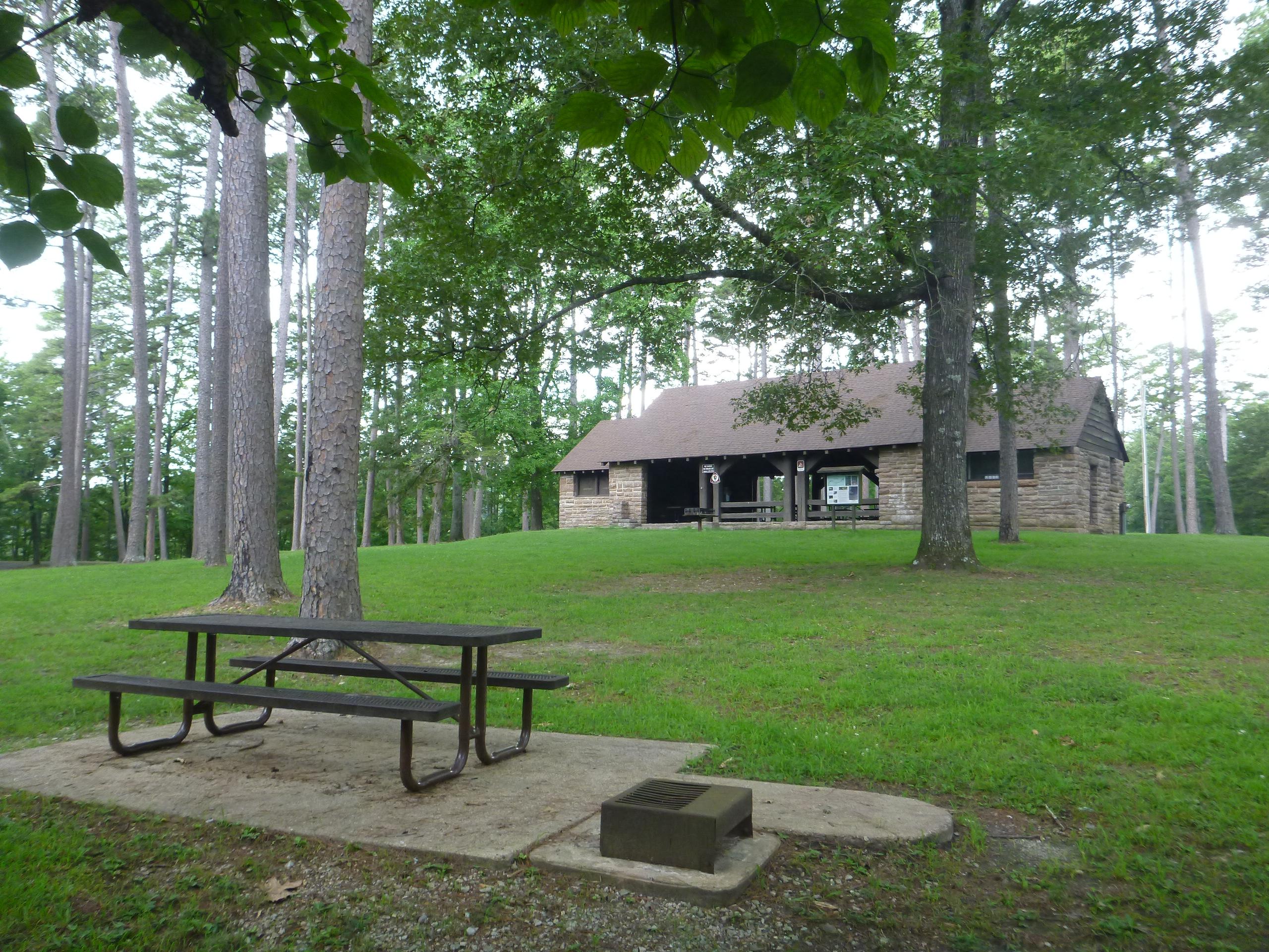 Buffalo Point Pavilion #1