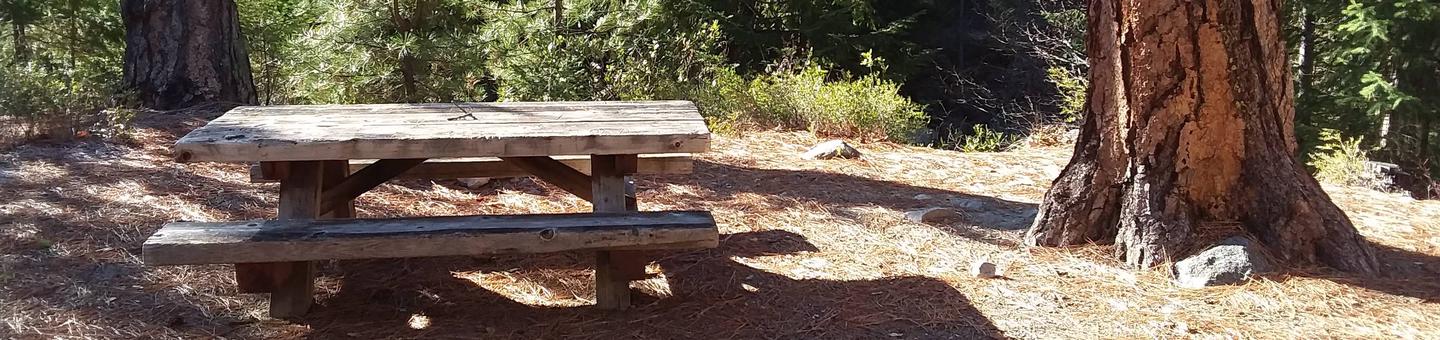 Table and big pine at Lake Creek. Site 6 at Lake Creek.