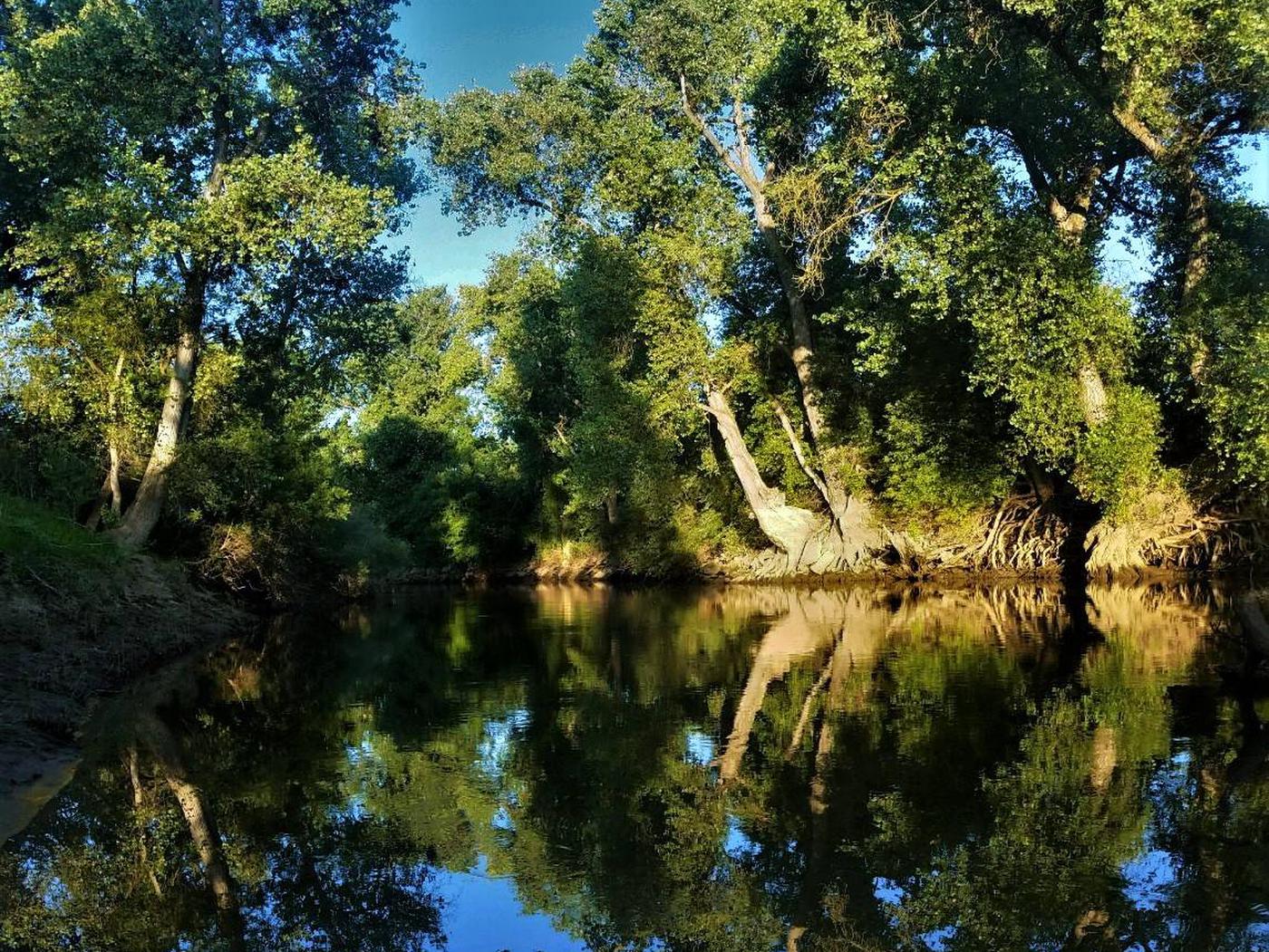 Mchenry Avenue Recreation Area, Stanislaus River Parks - Recreation.gov