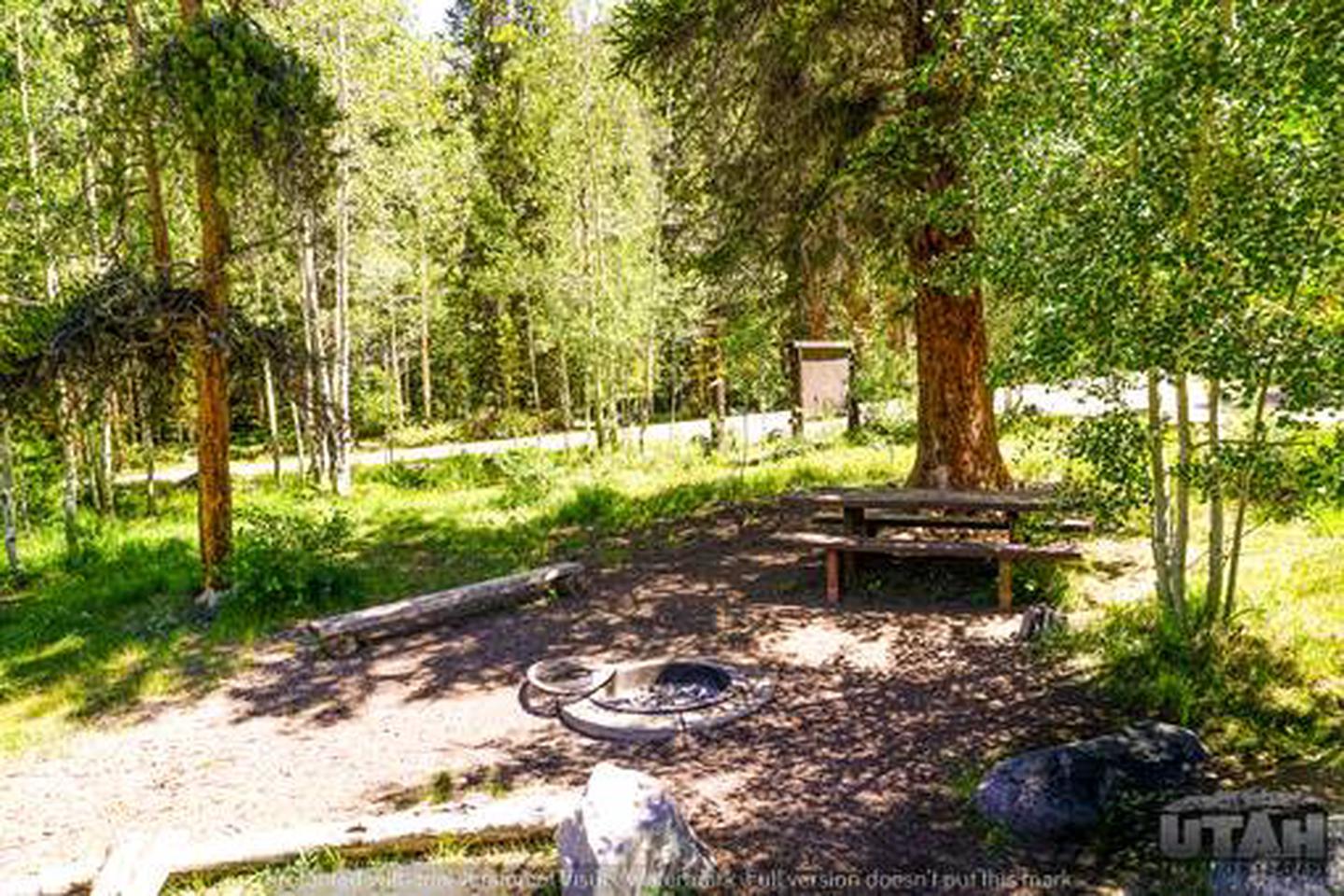 Christmas Meadows Campground - 001