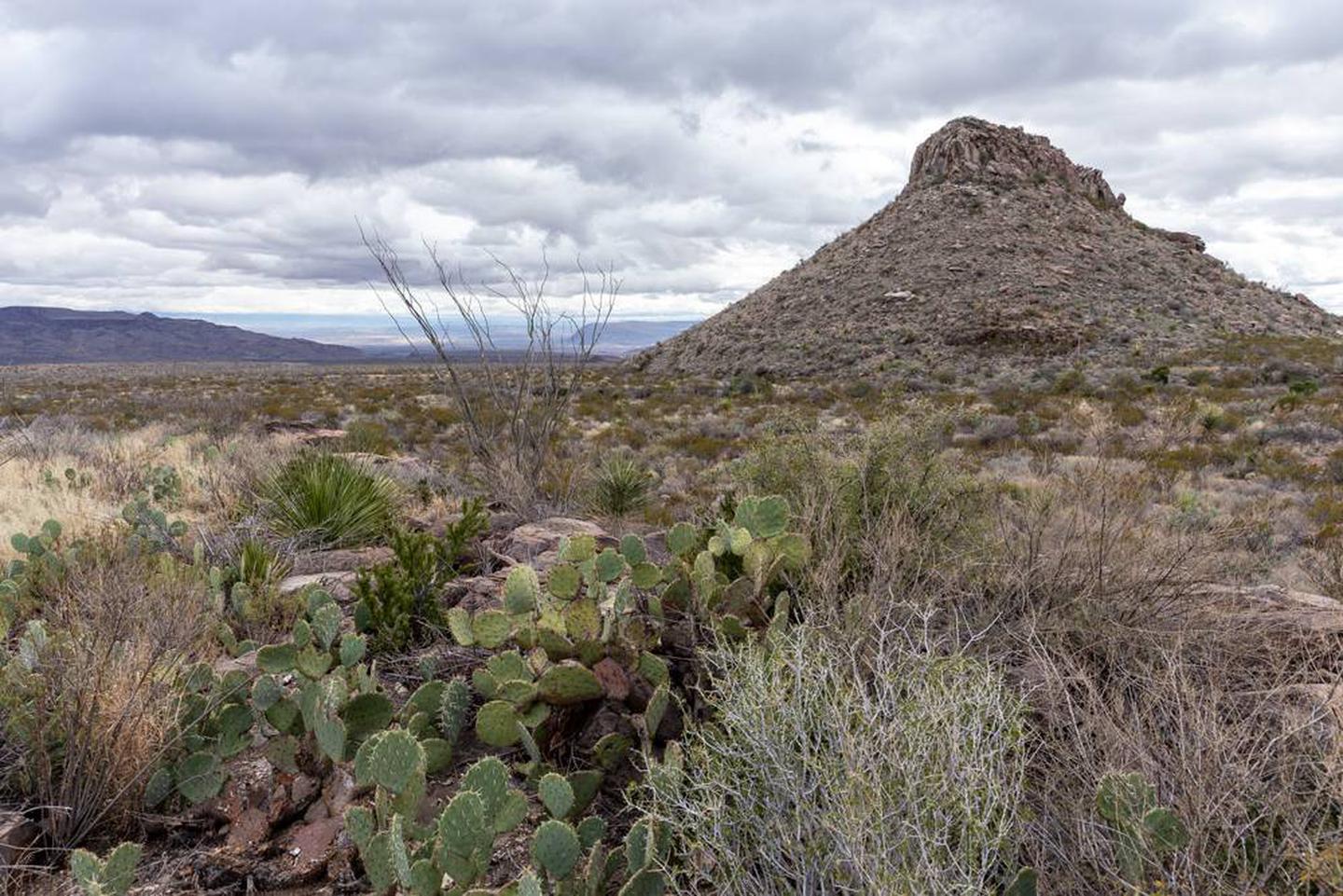 Scenic View from the campsiteChihuahuan Desert and mountains surround this scenic spot.