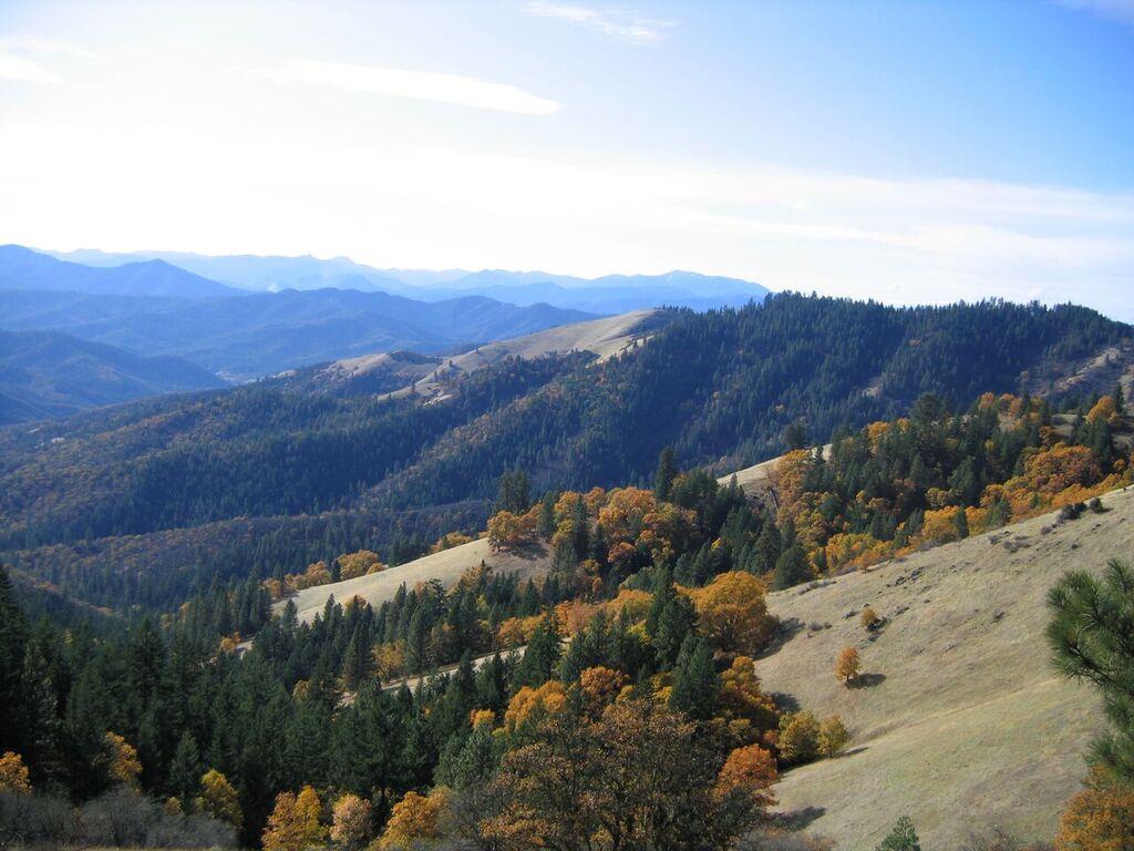 View from the Jack-Ash Trail, from Anderson Butte looking westerly.