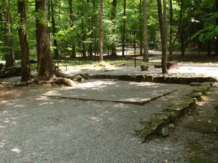 Campsite is within close proximety to the host site, water hydrant, bathhouse, frogtown creek and the trail that leads to the waterfalls.  Campsite A-1