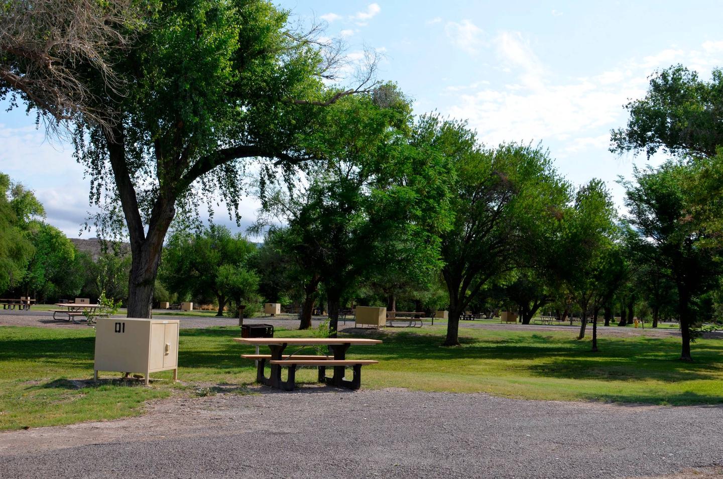 A bear box, picnic table, and metal grill sit underneath a lush, green tree at the end of a gravel driveway. Under the Cottonwoods
