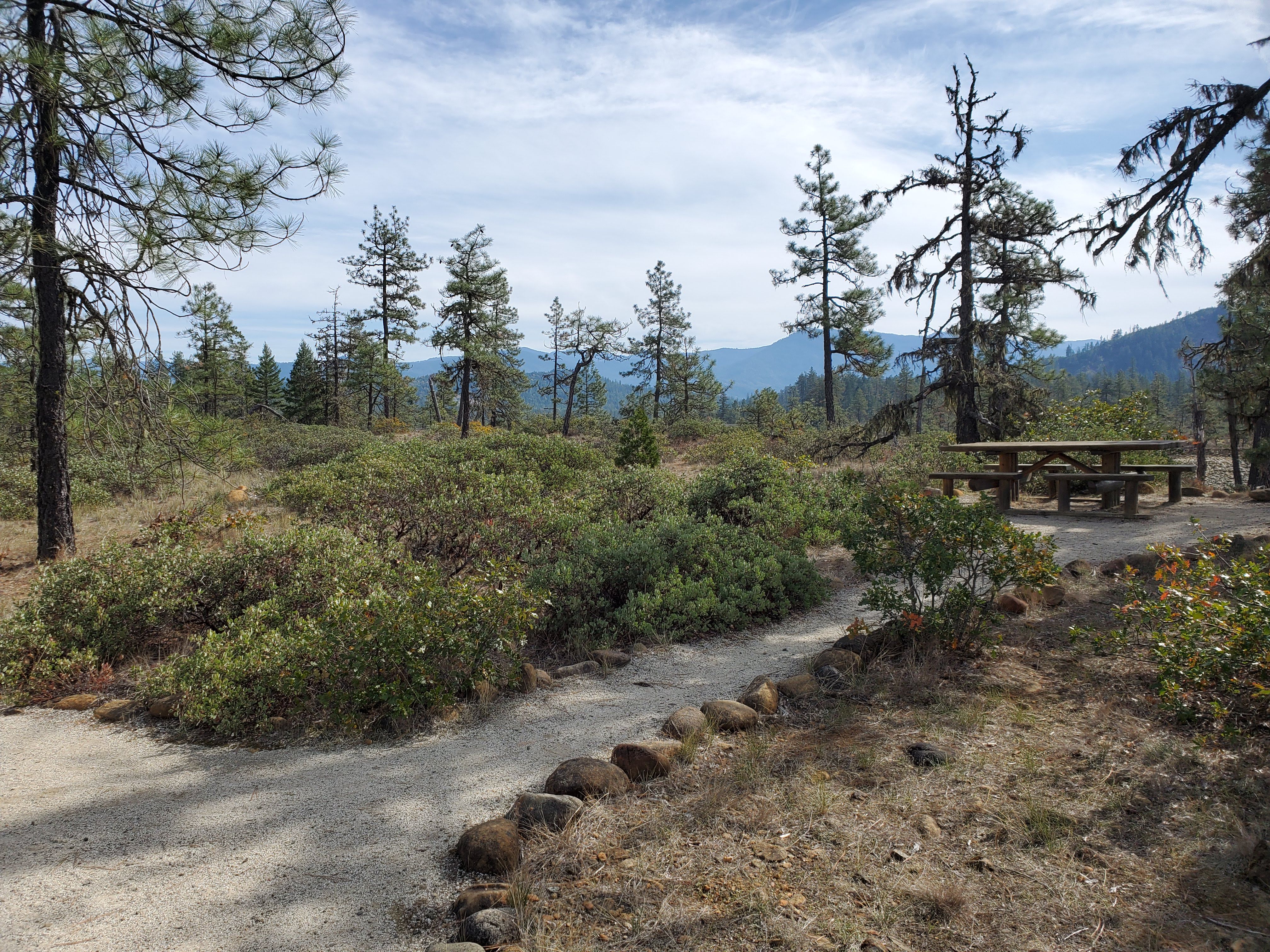 Picnic table along the Rough and Ready Flat trail.