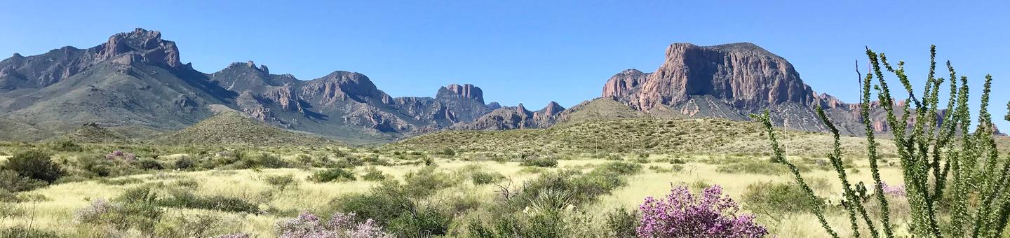 Big Bend National ParkBig Bend preserves the premier example of Chihuahuan Desert in the United States.