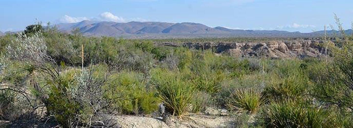 View accessible near Grapevine Hills Campsite 5Distant desert panorama