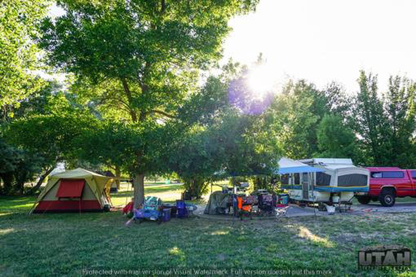 Anderson Cove Campground A-011