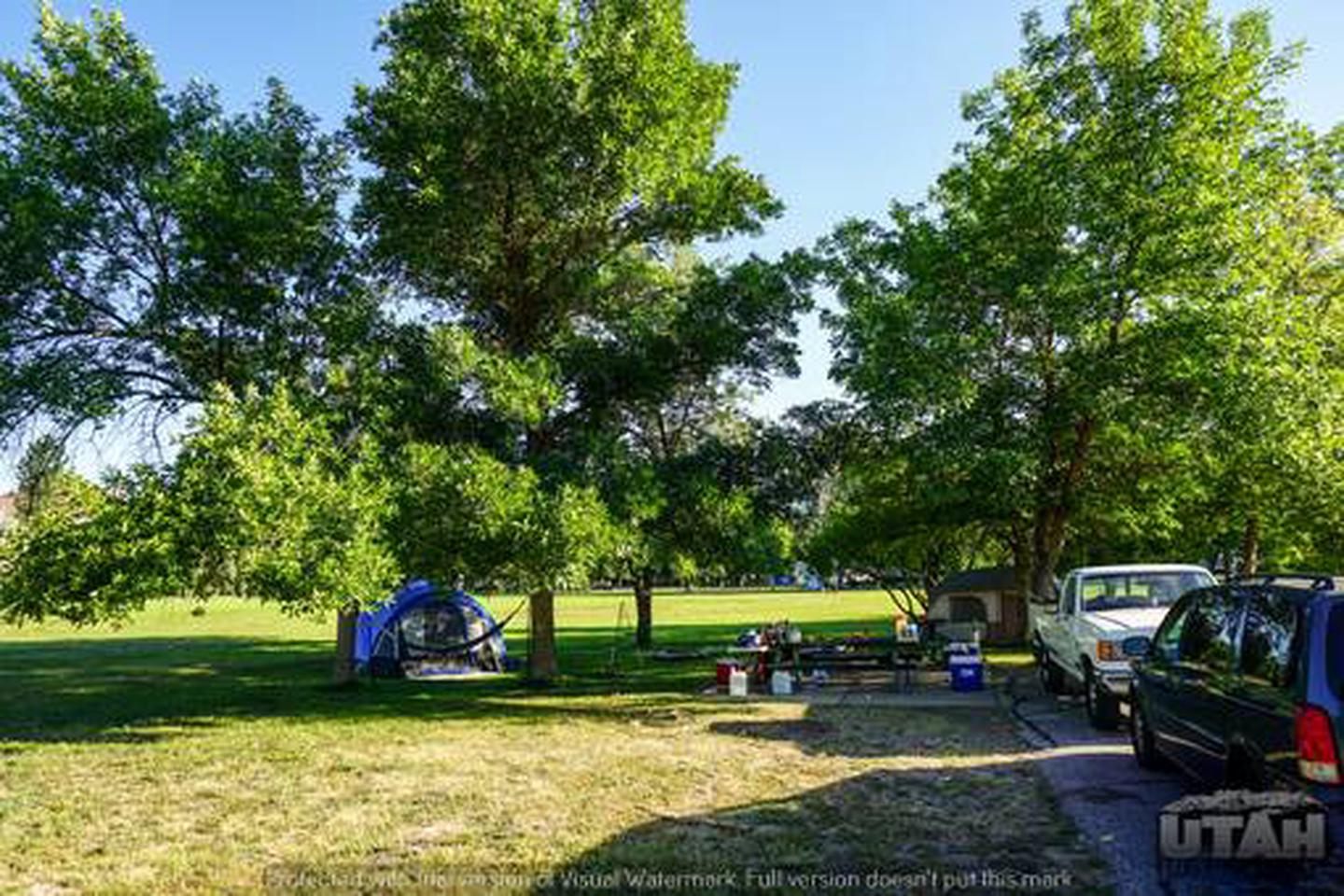 Anderson Cove Campground B-031
