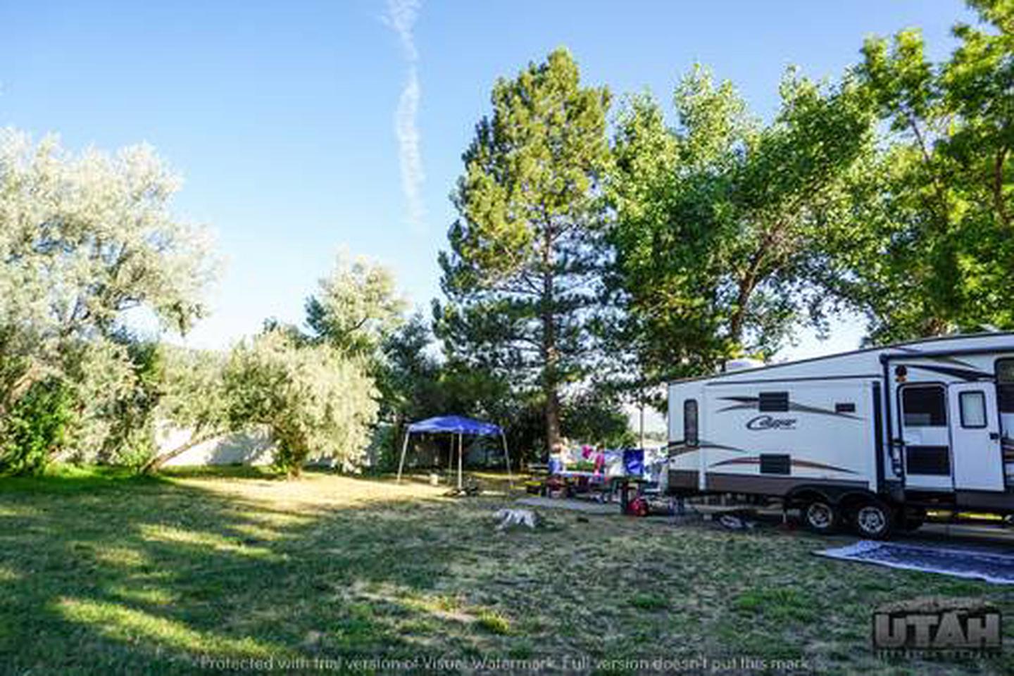 Anderson Cove Campground C-046