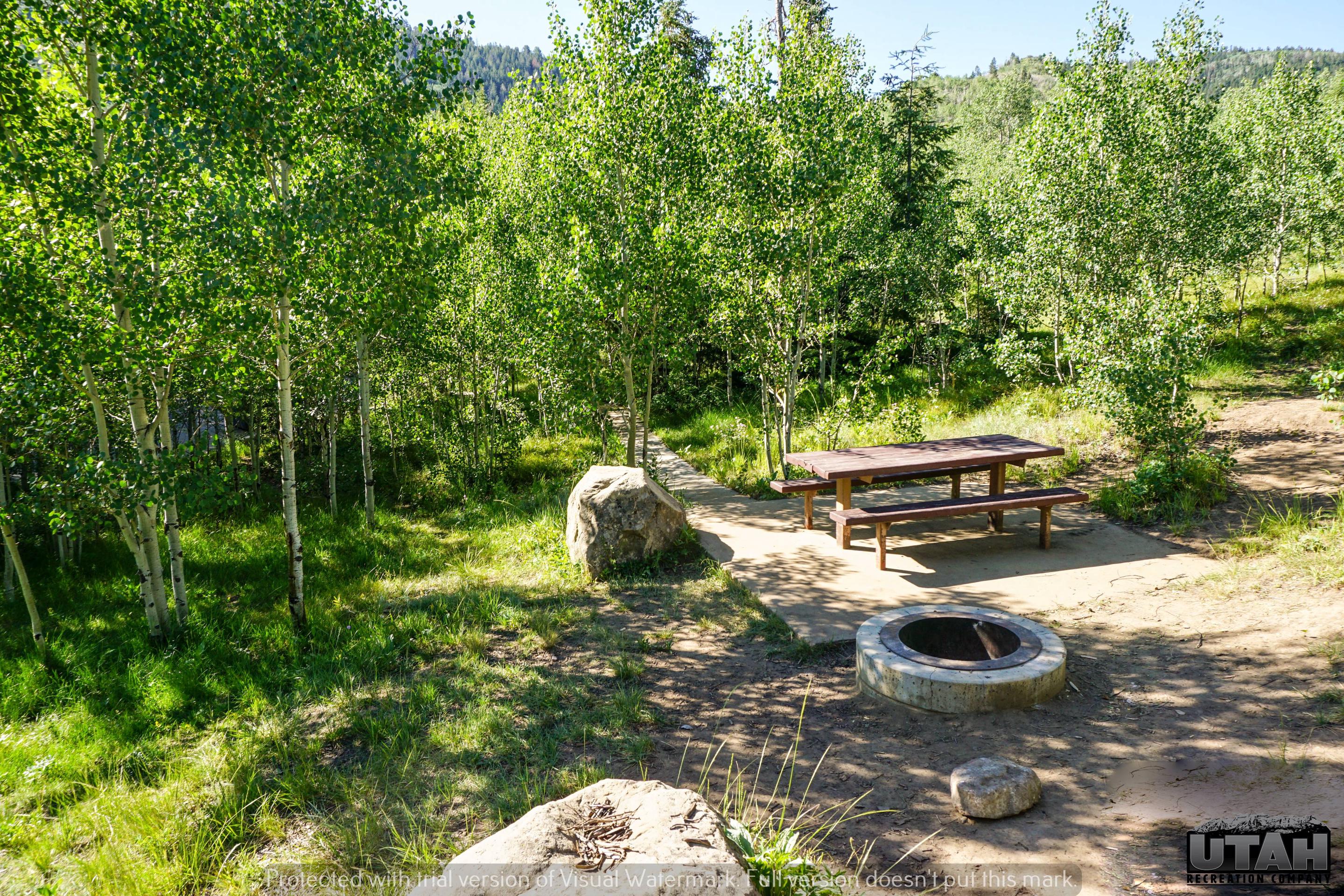 Escape to Montana's Majesty: Aspen Campground, Your Gateway to Adventure