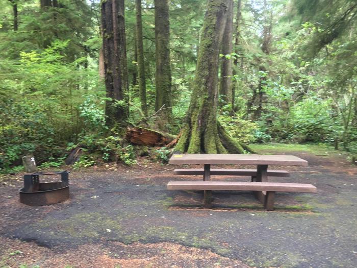 Campsite with picnic table and fire ring. Campsite B 21