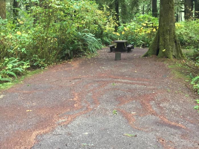 Campsite with picnic table and fire ring. Campsite B 29