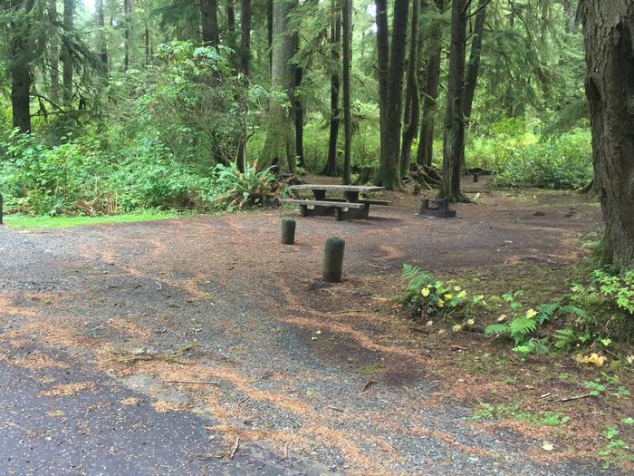 Campsite with picnic table and fire ring. Campsite C 41