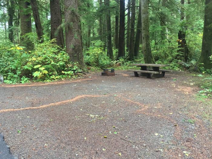 Campsite with picnic table and fire ring. Campsite D 59