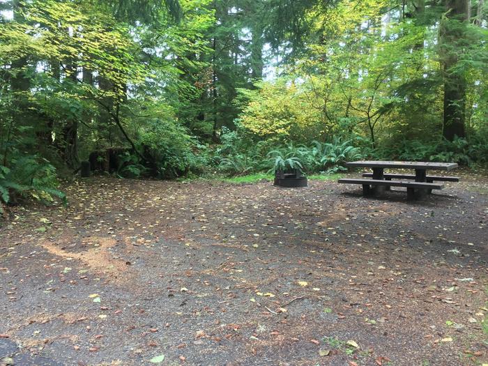 Campsite with picnic table and fire ring. Campsite E82
