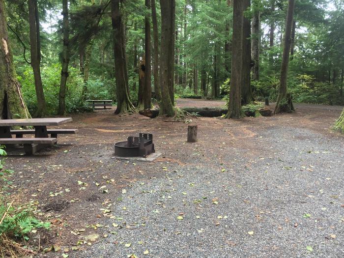 Campsite with picnic table and fire ring. Campsite E83