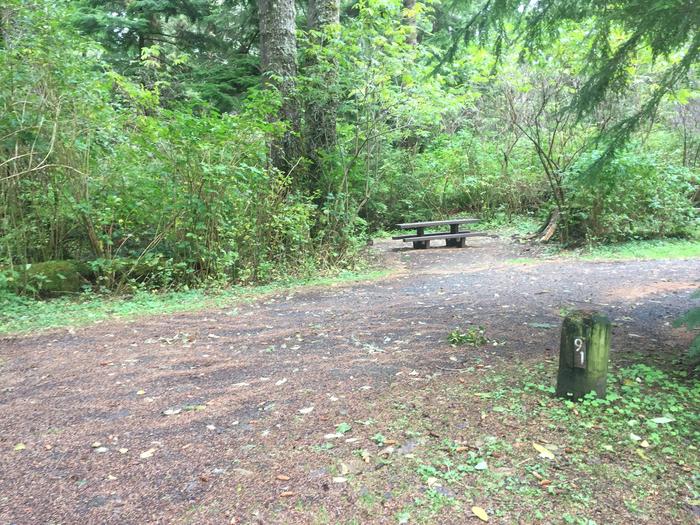 Campsite with picnic table and fire ring. Group Campsite E91/93