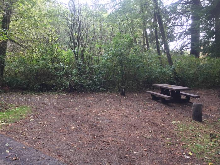 Campsite with picnic table and fire ring. Campsite E 94